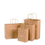 Importivity Shopping Bag